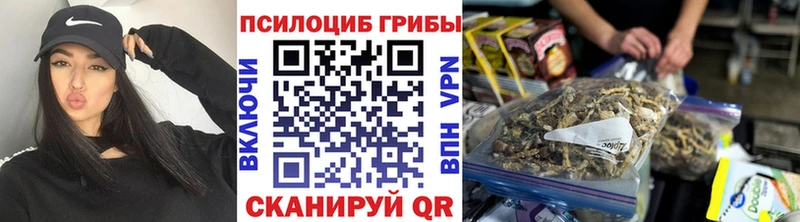 Псилоцибиновые грибы прущие грибы  Купить где  Курган 